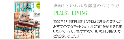 掲載メディアPLAUS1 LIVING