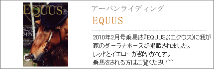 掲載メディア エクウス