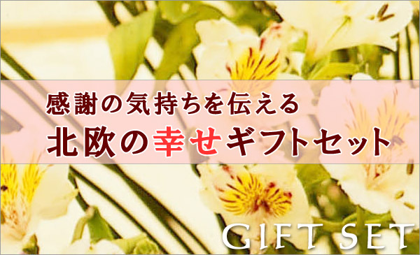 新築祝い、結婚祝い、引越し祝い、結婚祝い、出産祝い、内祝い、ギフト、贈り物画像