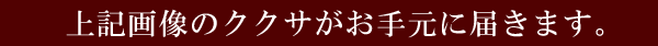 上記画像のククサがお手元に届きます。