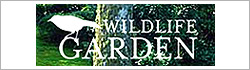 [３０％OFF 定価 580円 在庫処分品] Wildlife Garden(ワイルドライフガーデン)デコバタフライマグネット Peacock
