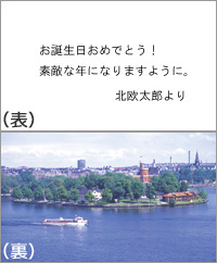 メッセージカード （表）白無地 / （裏）北欧の旅 / ミニ封筒付き