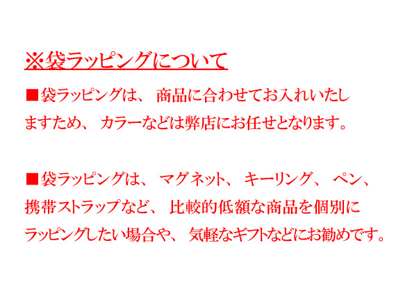 ギフト袋ラッピング 画像大2